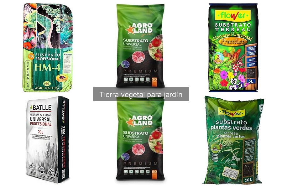 Ventajas de usar tierra vegetal para tu jardín