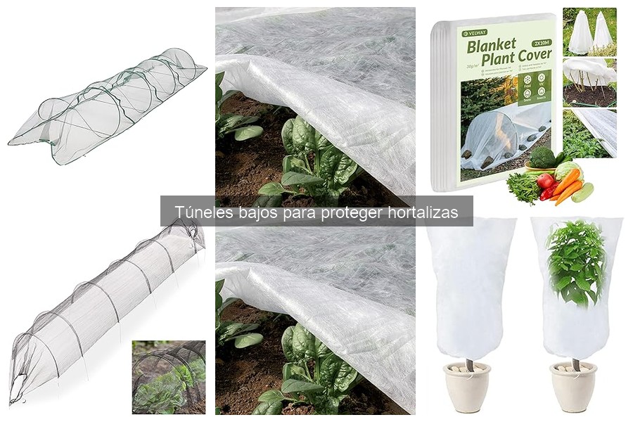 Ventajas de usar túneles bajos en el jardín para hortalizas