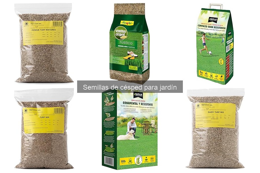 Ventajas y Desventajas: Césped Natural vs. Artificial