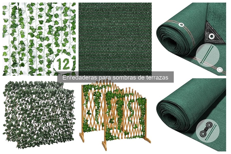 Ventajas y desventajas de enredaderas en terrazas
