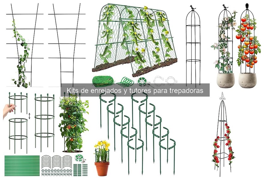 Ventajas y Desventajas de Enrejados y Tutores para Trepadoras
