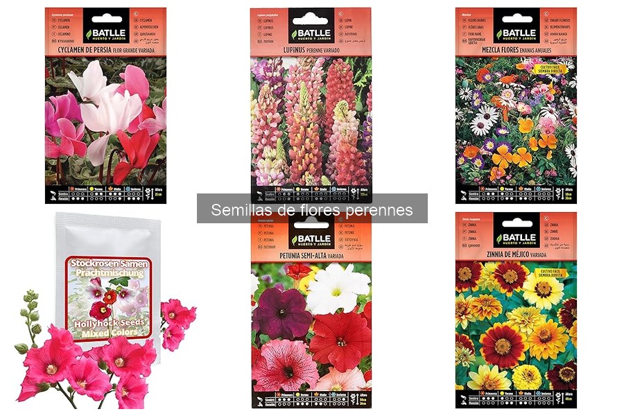 Ventajas y desventajas de flores perennes para tu jardín
