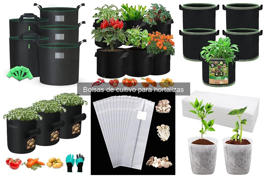 Ventajas y desventajas de las bolsas de cultivo para hortalizas