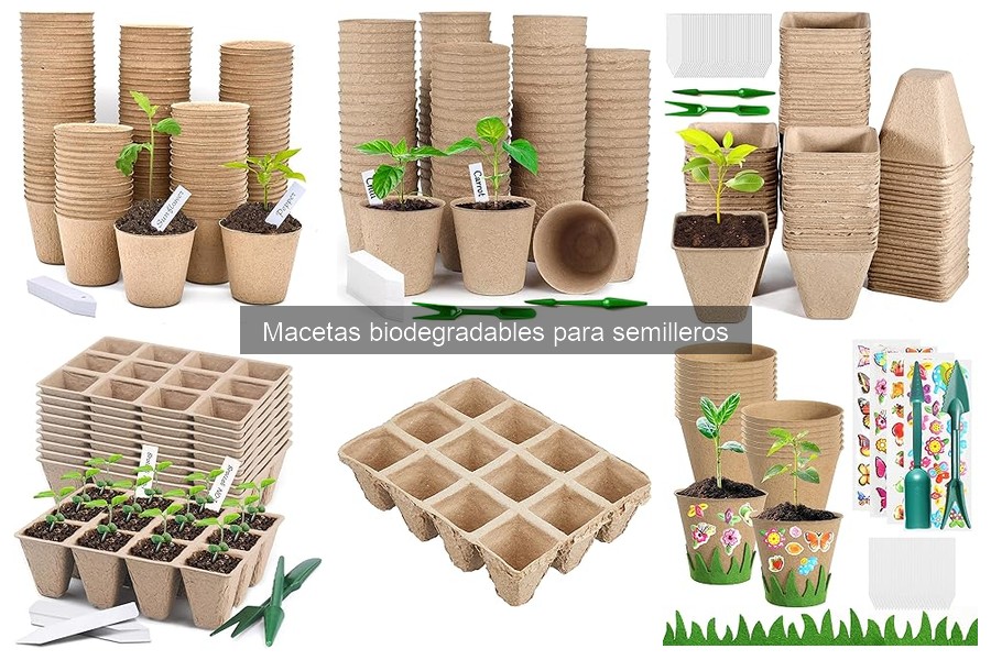 Ventajas y desventajas de las macetas biodegradables