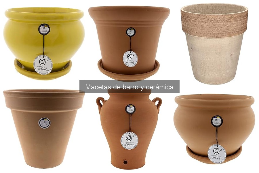 Ventajas y Desventajas de las Macetas de Barro y Cerámica