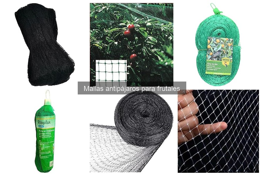 Ventajas y desventajas de las mallas antipájaros para frutales