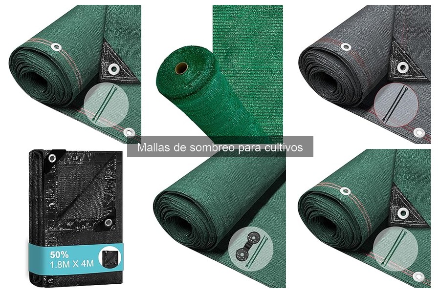 Ventajas y desventajas de las mallas de sombreo en cultivos