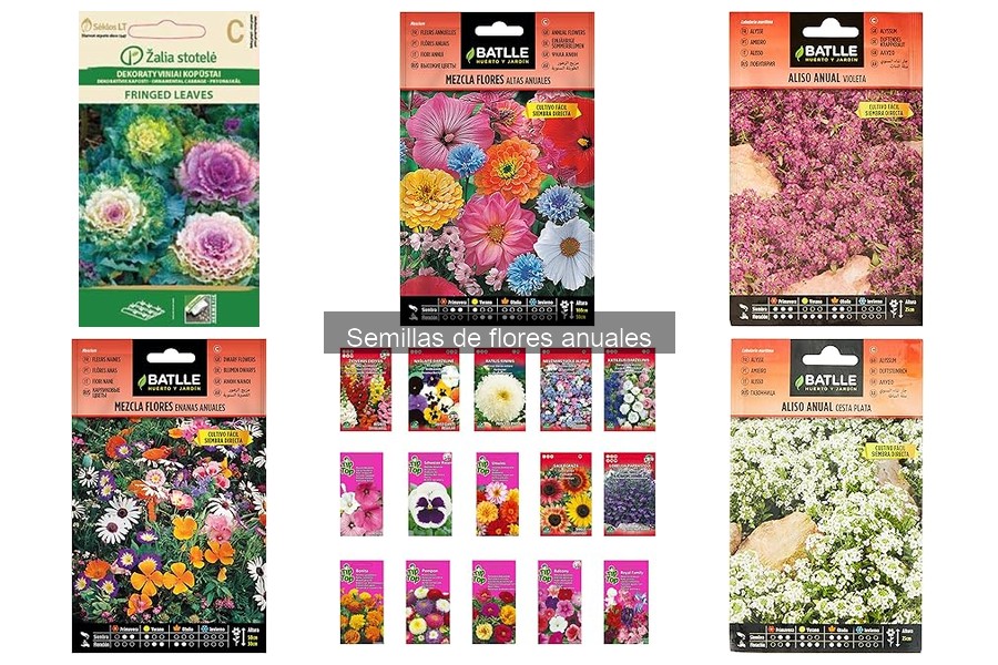 Ventajas y desventajas de las semillas de flores anuales