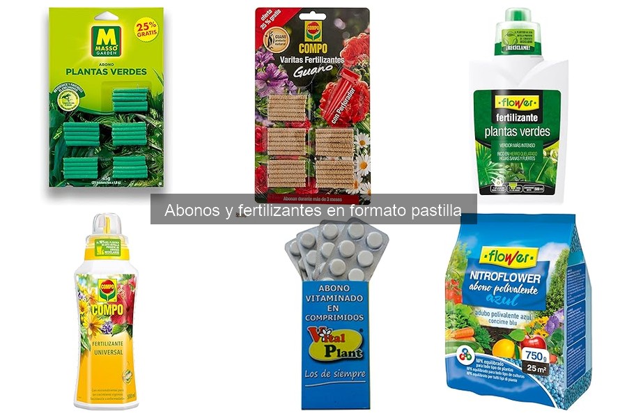 Ventajas y desventajas de los abonos en pastilla para plantas