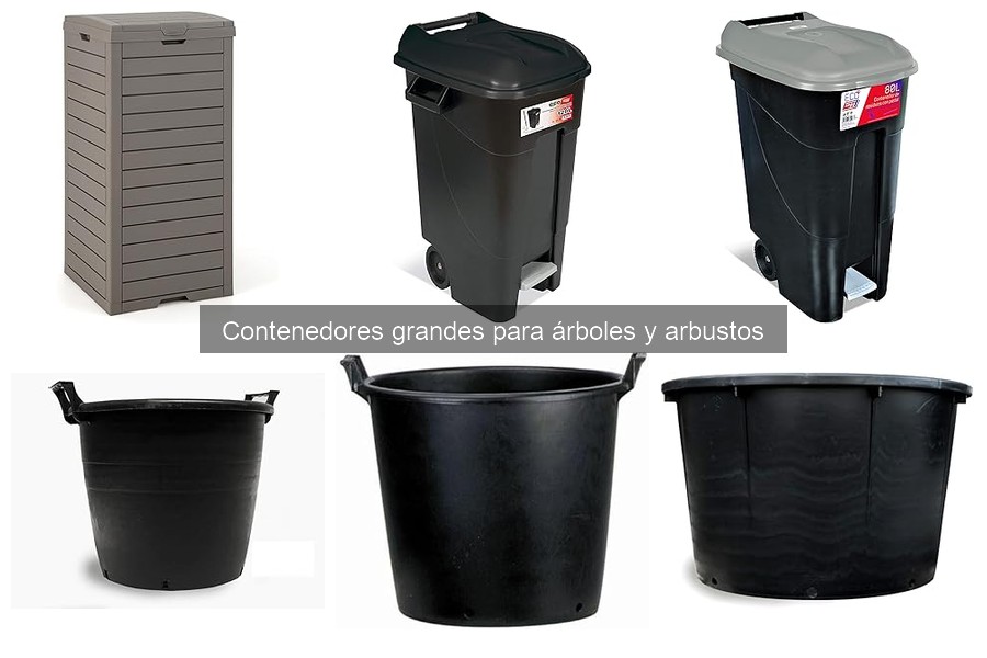 Ventajas y desventajas de los contenedores grandes para plantas