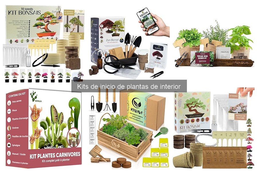 Ventajas y desventajas de los kits de inicio de plantas de interior