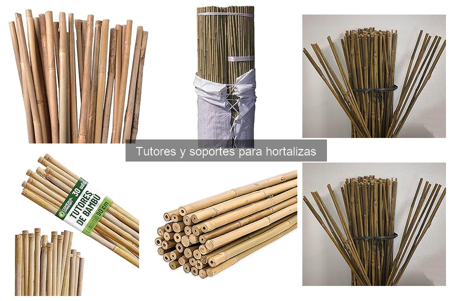 Ventajas y desventajas de los tutores para hortalizas