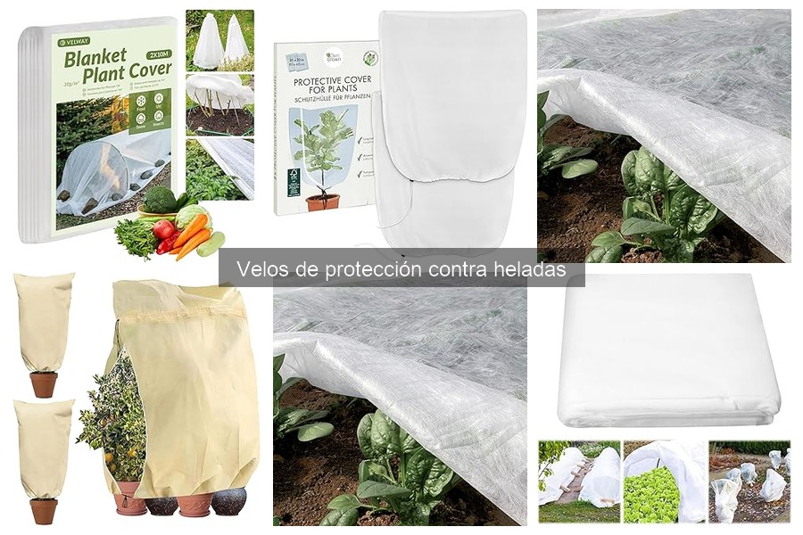Ventajas y desventajas de los velos de protección contra heladas
