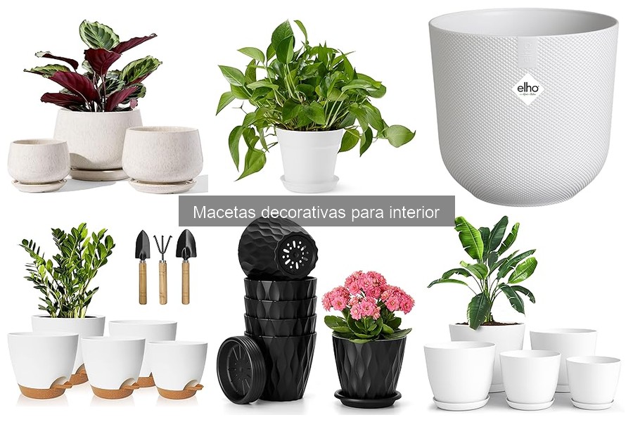 Ventajas y Desventajas de Macetas de Cerámica vs. Plástico