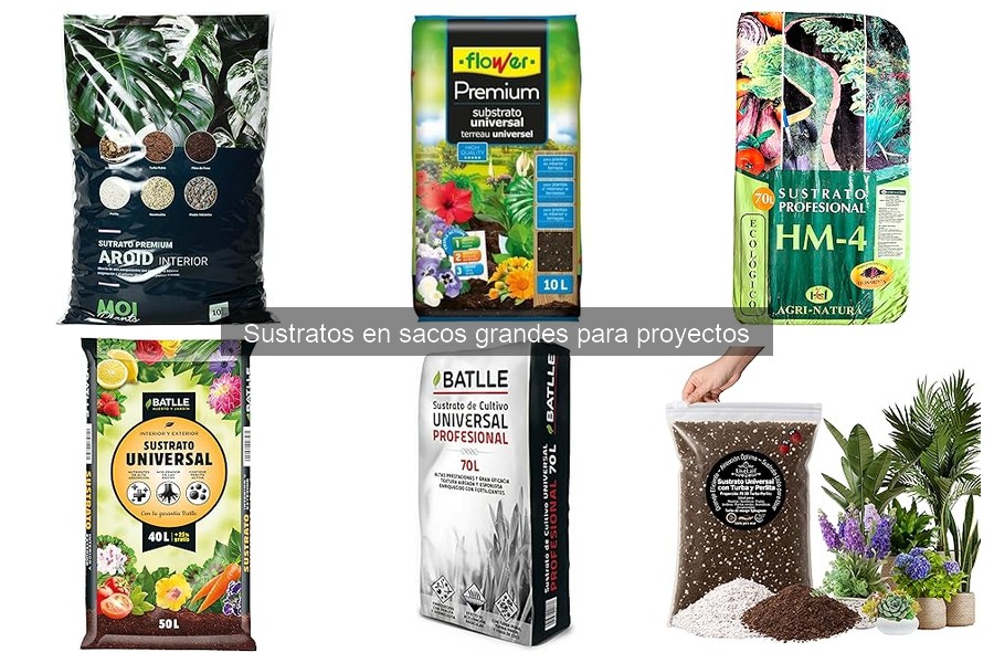 Ventajas y desventajas de sustratos en sacos grandes