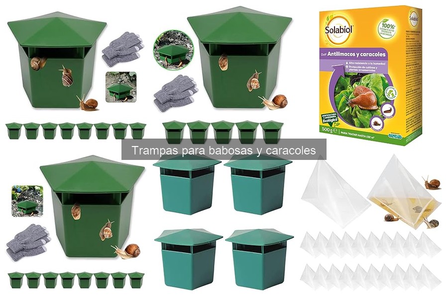 Ventajas y desventajas de trampas para babosas y caracoles