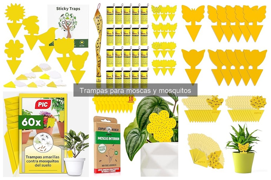 Ventajas y desventajas de trampas para moscas y mosquitos