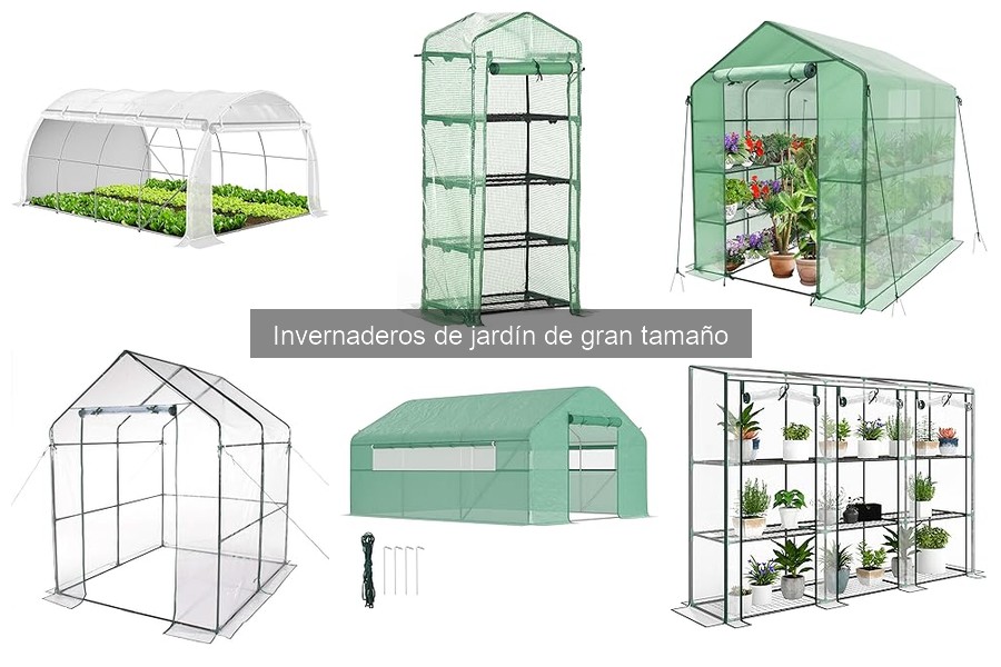 Ventajas y desventajas de un invernadero grande