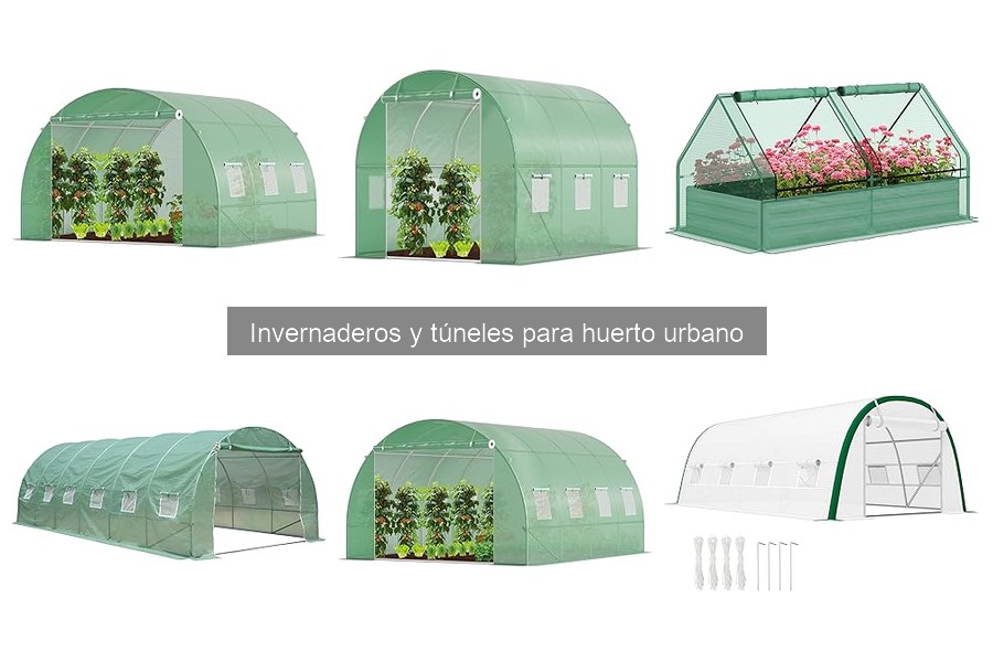 Ventajas y Desventajas de Usar Invernaderos en Huertos Urbanos
