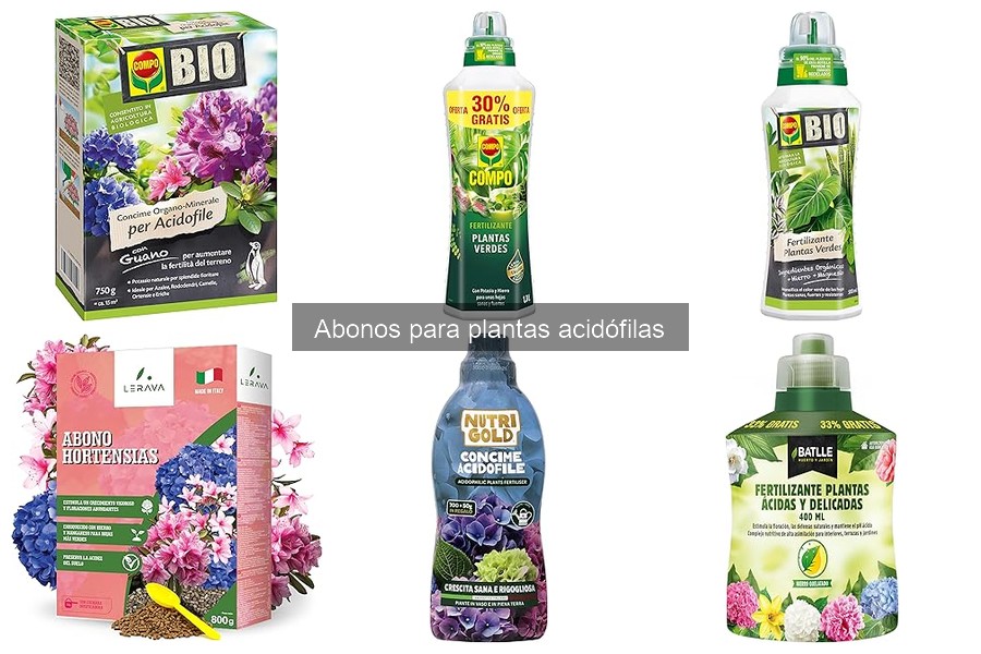 Ventajas y desventajas del abono para plantas acidófilas